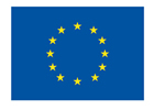 EU Flag