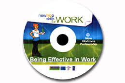 Newhop Skills for Work: Being Effective in Work CD-ROM