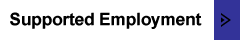 Supported Employment